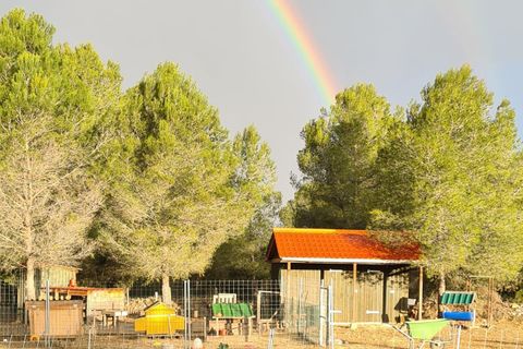 Landejendom i Ginestar, Tarragona, Ginestar - € 185.000 | Ref: CC824 - foto 26